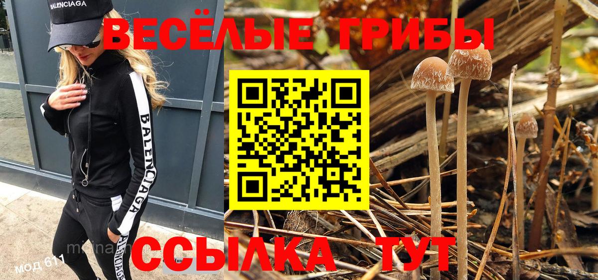 Псилоцибиновые грибы Cubensis Дюртюли