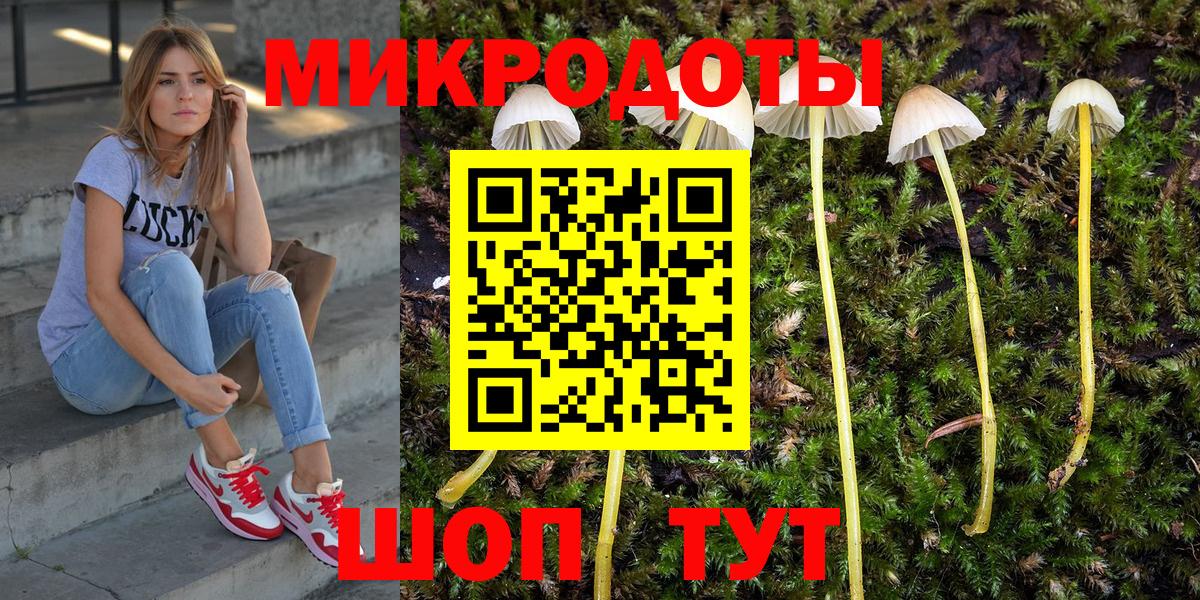 Псилоцибиновые грибы прущие грибы  Вход с VPN  Дюртюли 